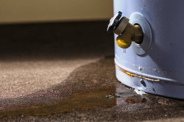 Best Emergency water damage restoration  in Holladay, UT