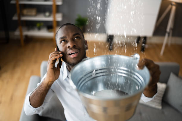 Best Professional water damage repair  in Holladay, UT