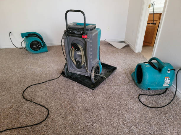 Sewage cleanup and water damage restoration in UT