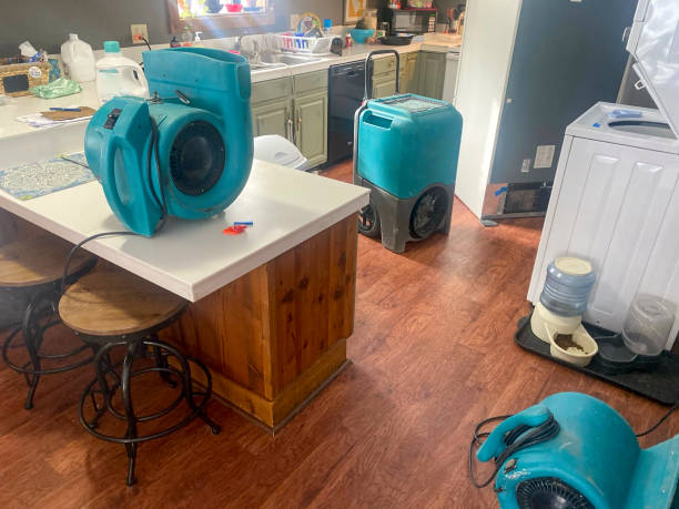 Best Flood damage cleanup  in Holladay, UT