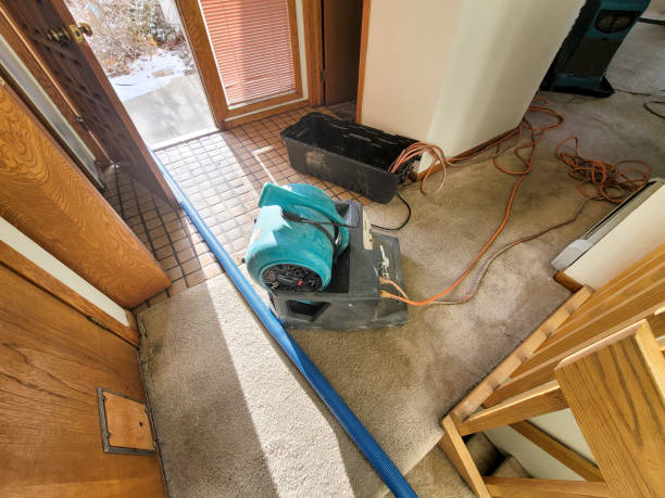 Best Ceiling water damage repair  in Holladay, UT