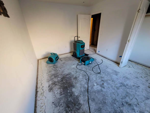 Best Water damage restoration near me  in Holladay, UT
