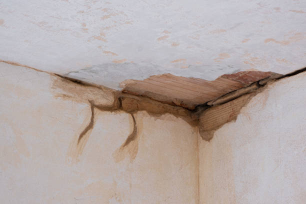 Best Professional water damage repair  in Holladay, UT
