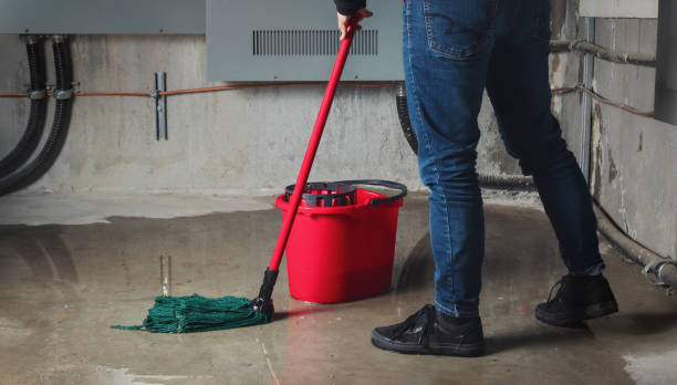 Best Residential water damage restoration  in Holladay, UT