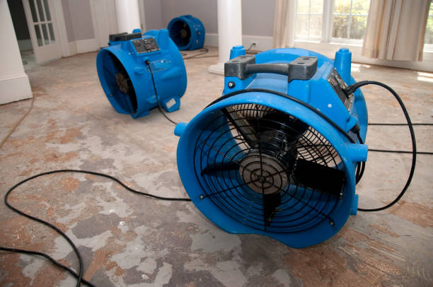 Best Water damage cleanup near me  in Holladay, UT
