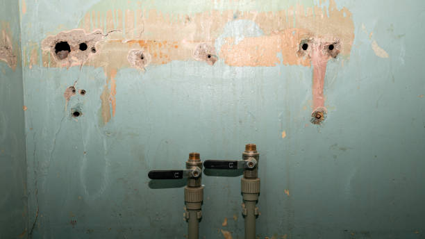 Best Flooded house restoration  in Holladay, UT