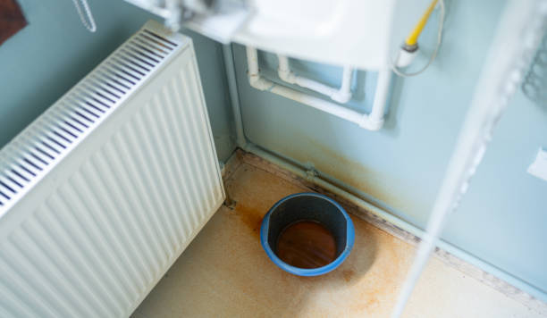 Best Sewage cleanup and water damage restoration  in Holladay, UT