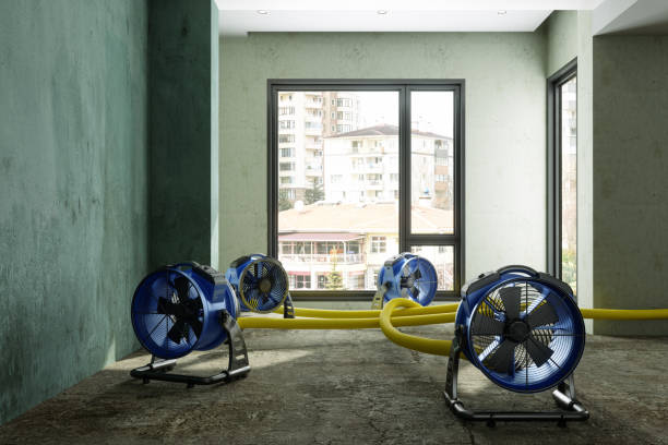 Best Flood restoration services  in Holladay, UT