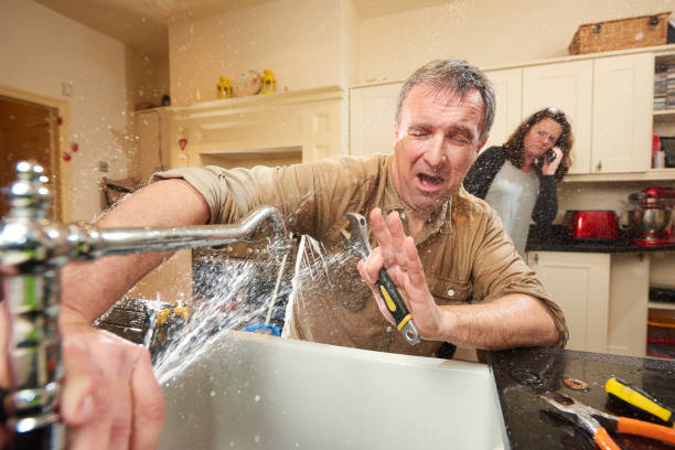 Best Basement water damage restoration  in Holladay, UT